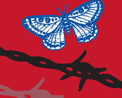 Butterfly and barbed wire on a red background.