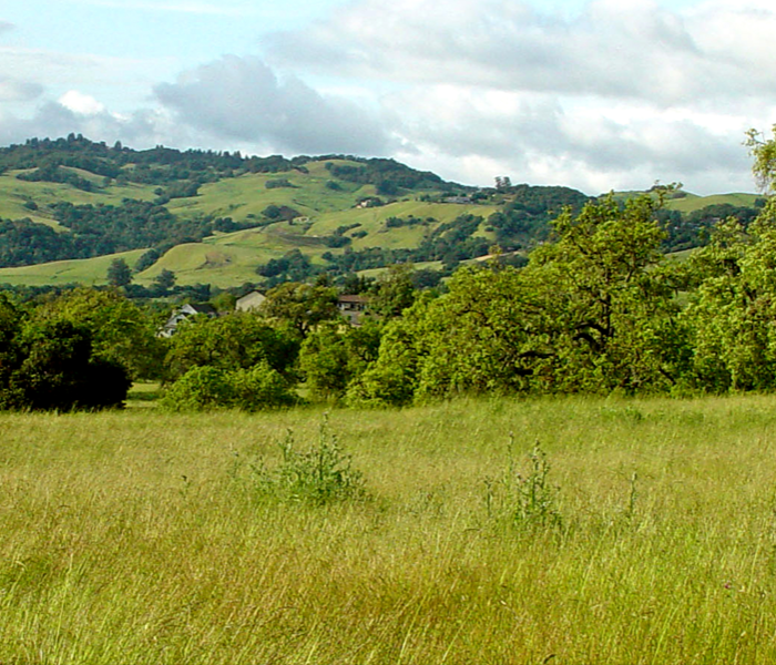 Rolling hills