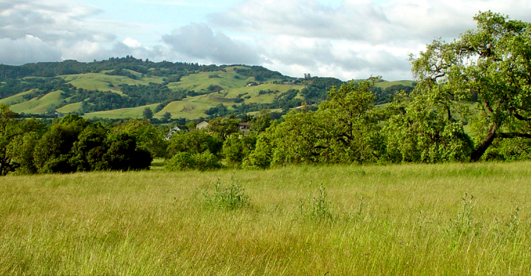 Rolling hills