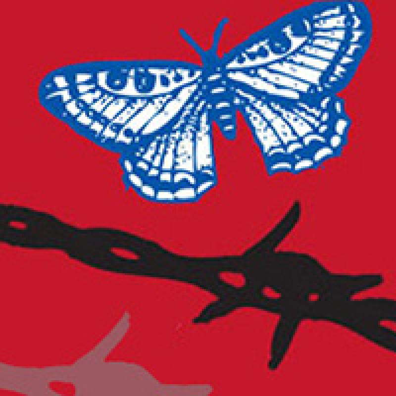 Butterfly and barbed wire on a red background.