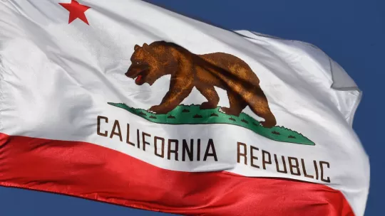 CA State Flag